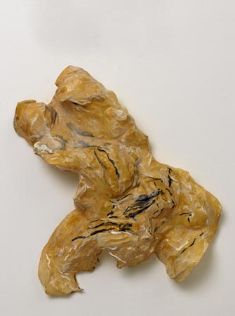 large image